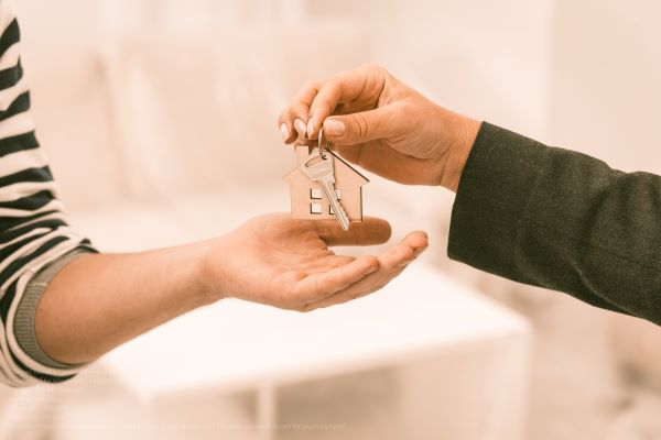 Homes For Rent In Olympia